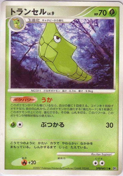 Photo1: Metapod DPBP#011 (1)