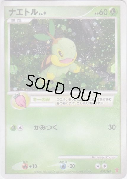 Photo1: Turtwig 001/PPP Promo (1)