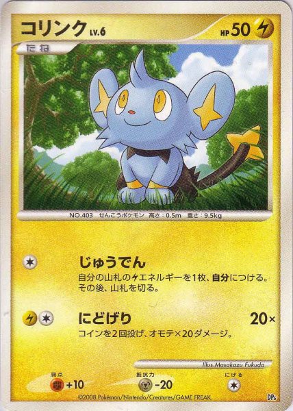 Photo1: Shinx Unlimited (1)