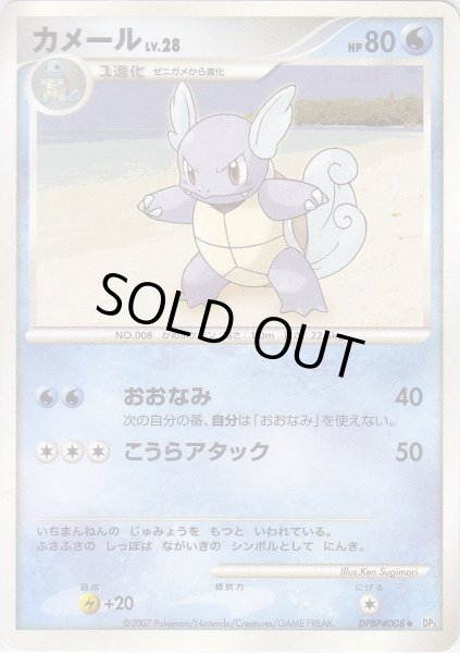 Photo1: Wartortle DPBP#008 (1)