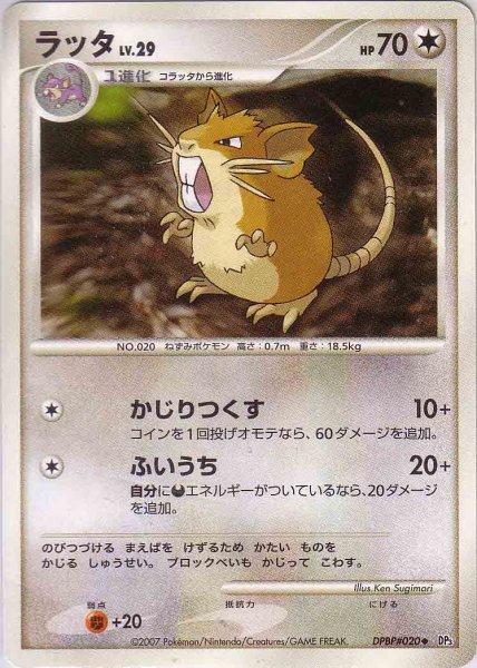 Photo1: Raticate DPBP#020 (1)