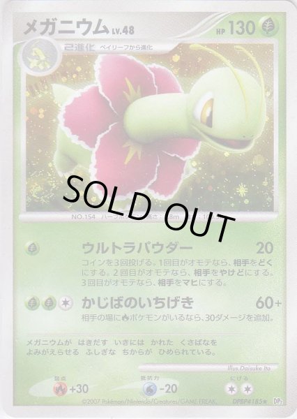 Photo1: Meganium DPBP#185 (1)