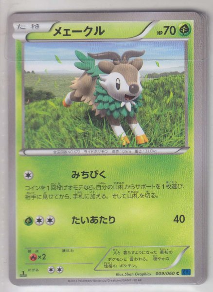 Photo1: Skiddo 009/060 XY1 1st   (1)