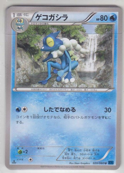 Photo1: Frogadier 020/060 XY1 1st   (1)