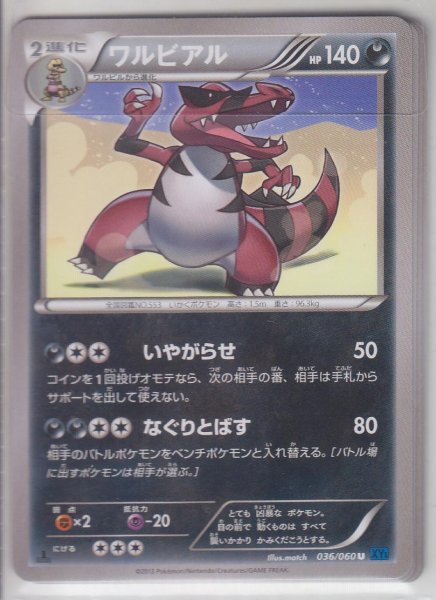 Photo1: Krookodile 036/060 XY1 1st   (1)