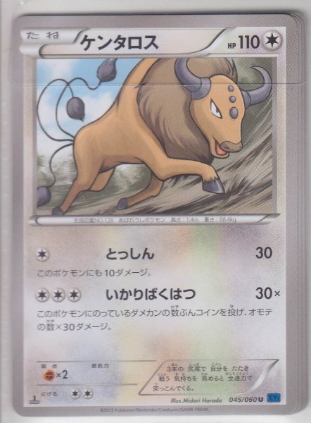 Photo1: Tauros 045/060 XY1 1st   (1)