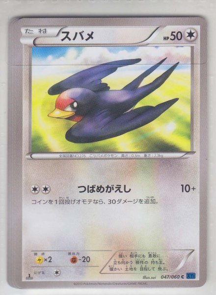 Photo1: Taillow 047/060 XY1 1st   (1)