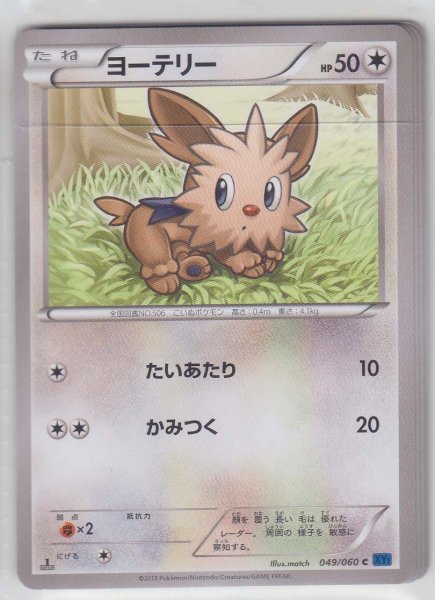 Photo1: Lillipup 049/060 XY1 1st   (1)