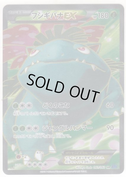 Photo1: Venusaur-EX 061/060 XY1 1st   (1)