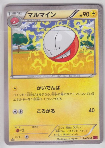 Photo1: Electrode 022/060 XY1 1st    (1)