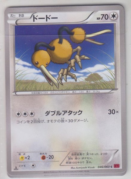 Photo1: Doduo 046/060 XY1 1st    (1)