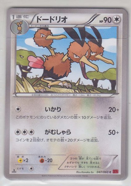 Photo1: Dodrio 047/060 XY1 1st    (1)