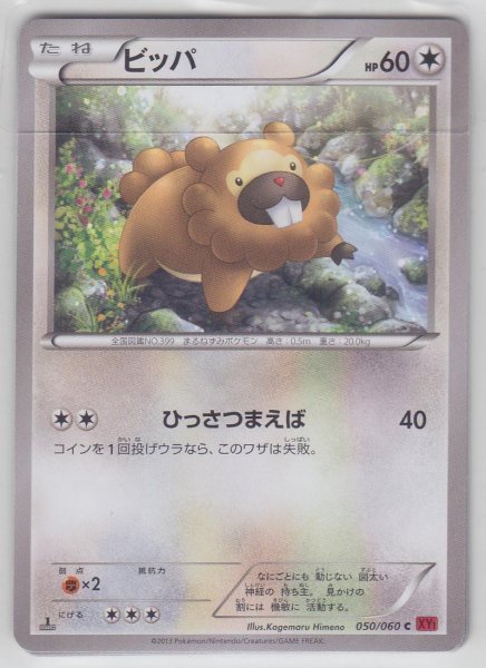 Photo1: Bidoof 050/060 XY1 1st    (1)