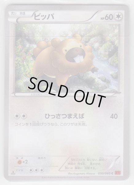 Photo1: Bidoof 050/060 XY1 1st    (1)