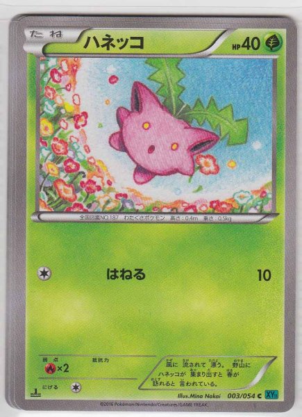 Photo1: Hoppip 003/054 XY11 1st   (1)