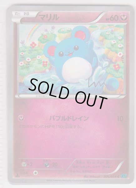 Photo1: Marill 036/054 XY11 1st   (1)