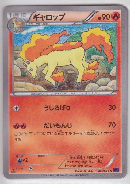 Photo1: Rapidash 007/054 XY11 1st   (1)