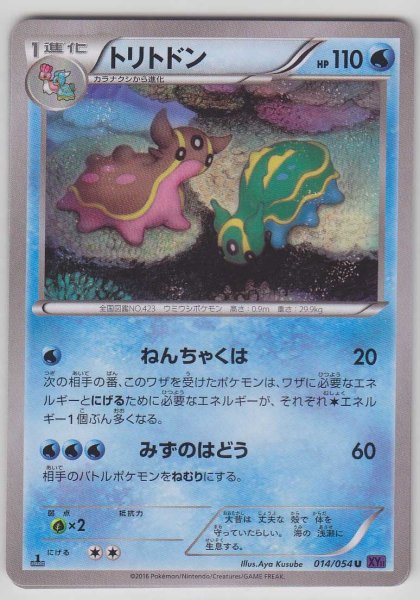 Photo1: Gastrodon 014/054 XY11 1st   (1)