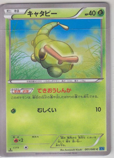 Photo1: Caterpie 001/080 XY2 1st (1)