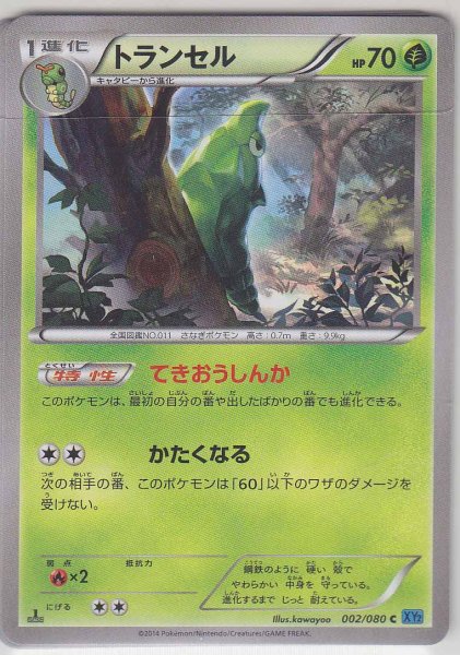 Photo1: Metapod 002/080 1st (1)