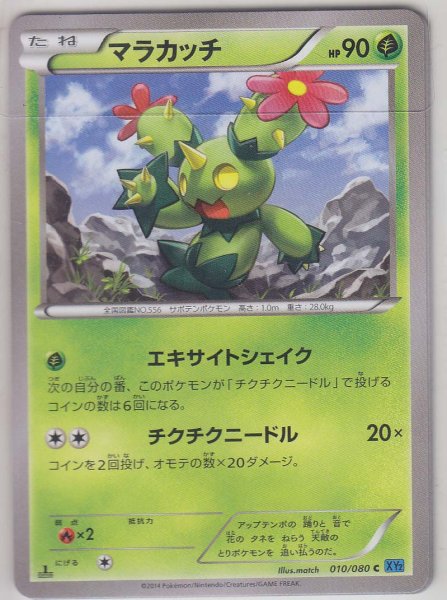 Photo1: Maractus 010/080 1st (1)