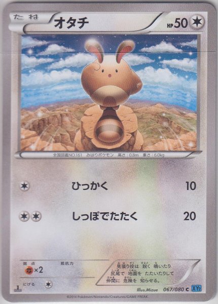 Photo1: Sentret 067/080 1st (1)