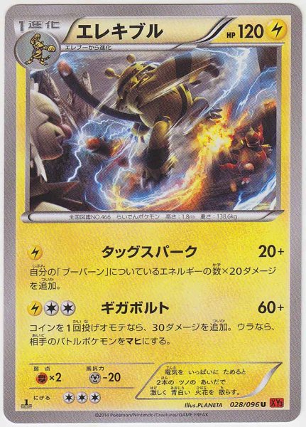 Photo1: Electivire 028/096 XY3 1st (1)