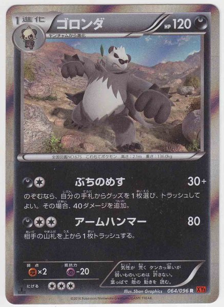 Photo1: Pangoro 064/096 XY3 1st (1)