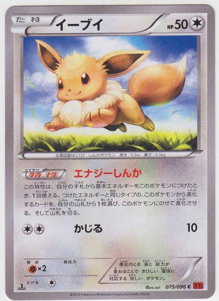 Photo1: Eevee 075/096 XY3 1st (1)