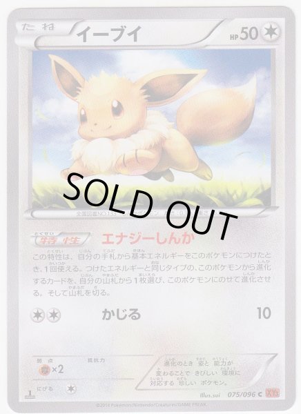 Photo1: Eevee 075/096 XY3 1st (1)