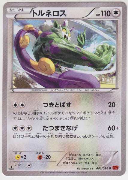 Photo1: Tornadus 081/096 XY3 1st (1)