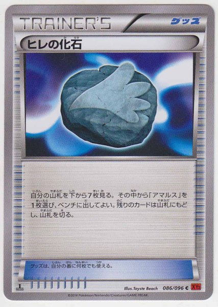 Photo1: Sail Fossil 086/096 XY3 1st (1)