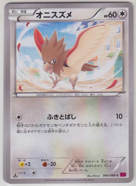 Photo1: Spearow 066/088 XY4 1st (1)