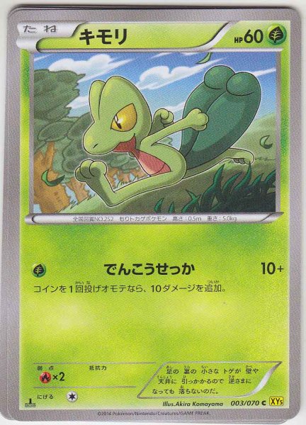 Photo1: Treecko 003/070 XY5 1st   (1)