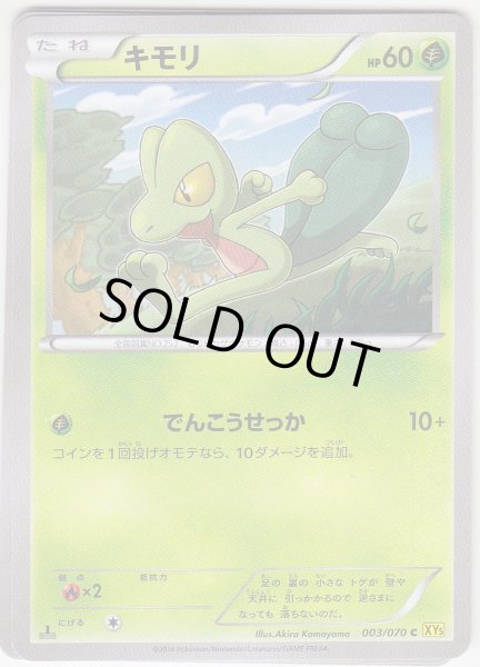 Photo1: Treecko 003/070 XY5 1st   (1)