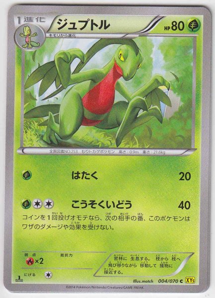 Photo1: Grovyle 004/070 XY5 1st   (1)