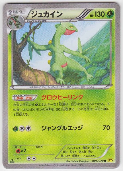 Photo1: Sceptile 005/070 XY5 1st   (1)