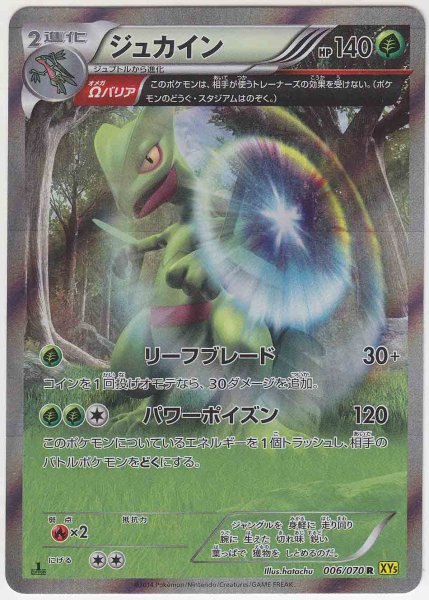 Photo1: Sceptile 006/070 XY5 1st   (1)