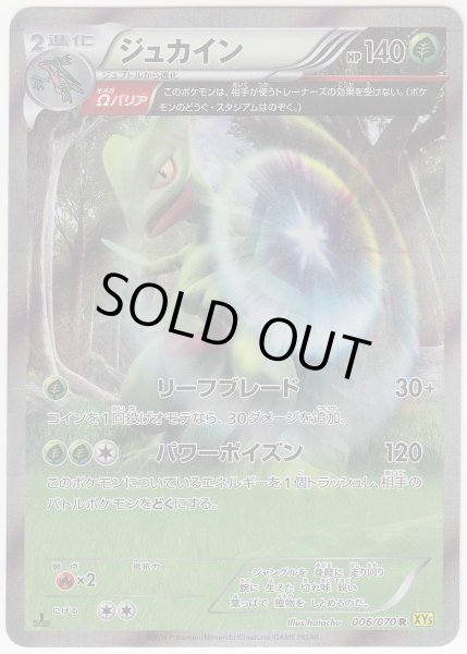 Photo1: Sceptile 006/070 XY5 1st   (1)
