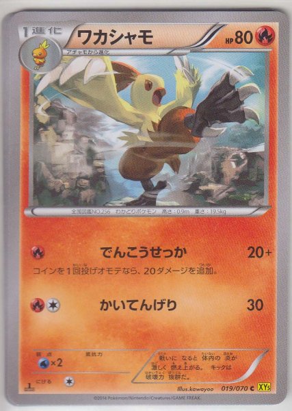 Photo1: Combusken 019/070 XY5 1st   (1)