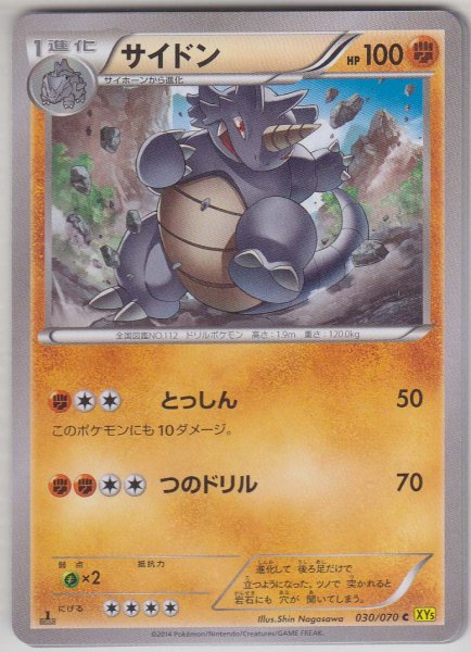 Photo1: Rhydon 030/070 XY5 1st   (1)