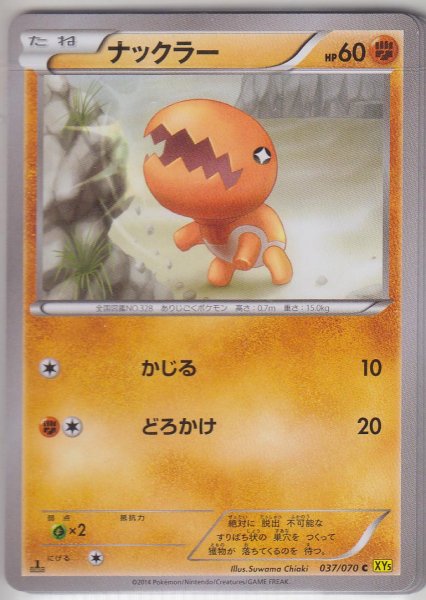 Photo1: Trapinch 037/070 XY5 1st   (1)