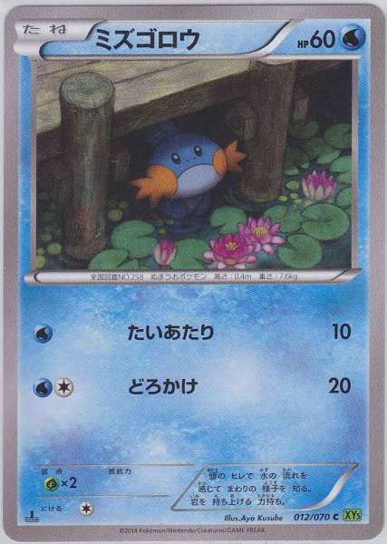 Photo1: Mudkip 012/070 XY5 1st   (1)