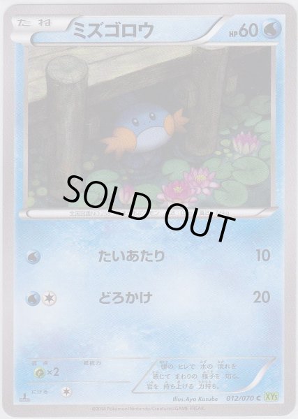 Photo1: Mudkip 012/070 XY5 1st   (1)
