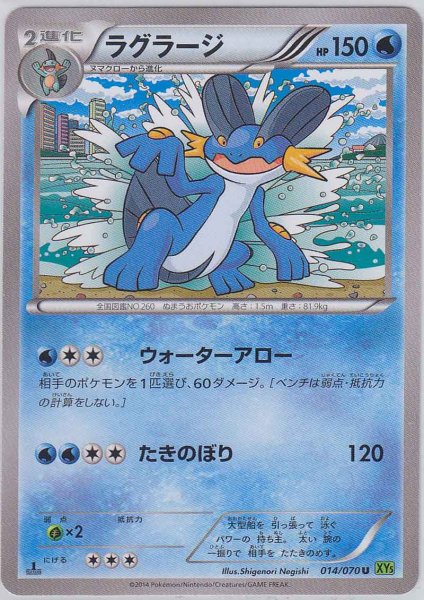 Photo1: Swampert 014/070 XY5 1st   (1)