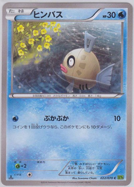 Photo1: Feebas 022/070 XY5 1st   (1)