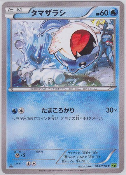 Photo1: Spheal 024/070 XY5 1st   (1)