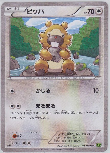 Photo1: Bidoof 057/070 XY5 1st   (1)