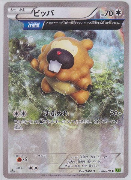 Photo1: Bidoof 058/070 XY5 1st   (1)