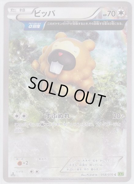 Photo1: Bidoof 058/070 XY5 1st   (1)